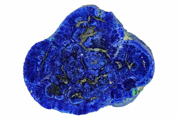 Vivid Blue, Cut/Polished Azurite Nodule - Siberia #175557